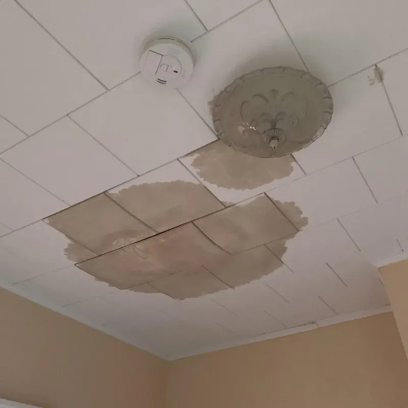 Ceiling Water Damage Repair in Corning, IA