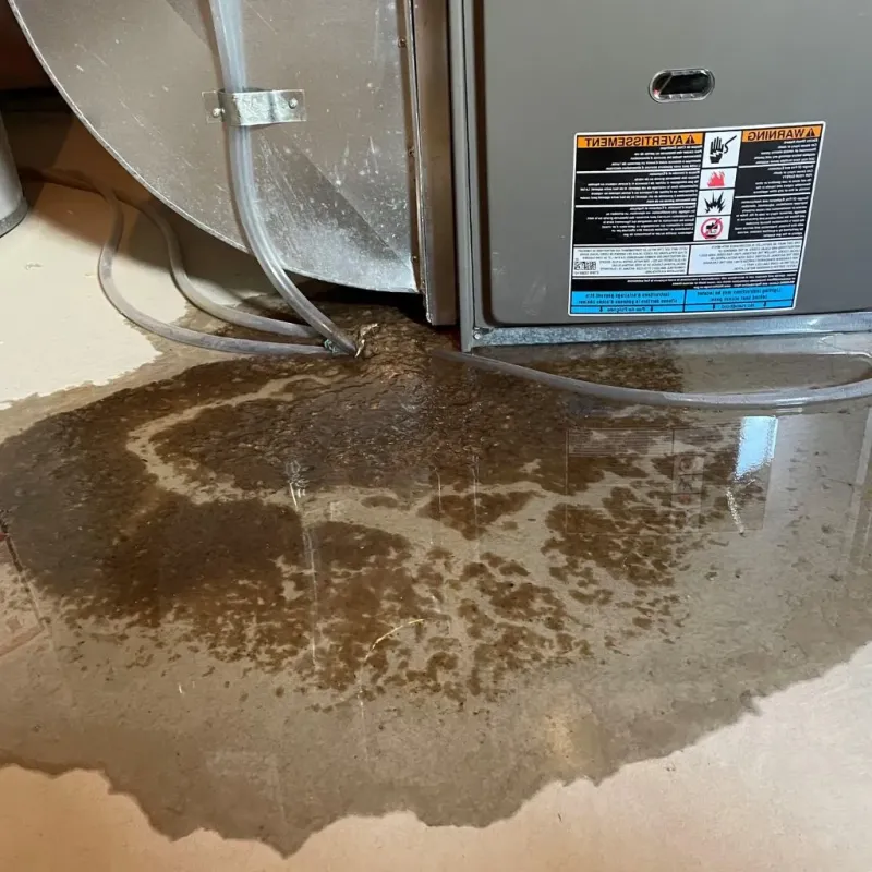 Pipe Burst and Leak Restoration in Corning, IA