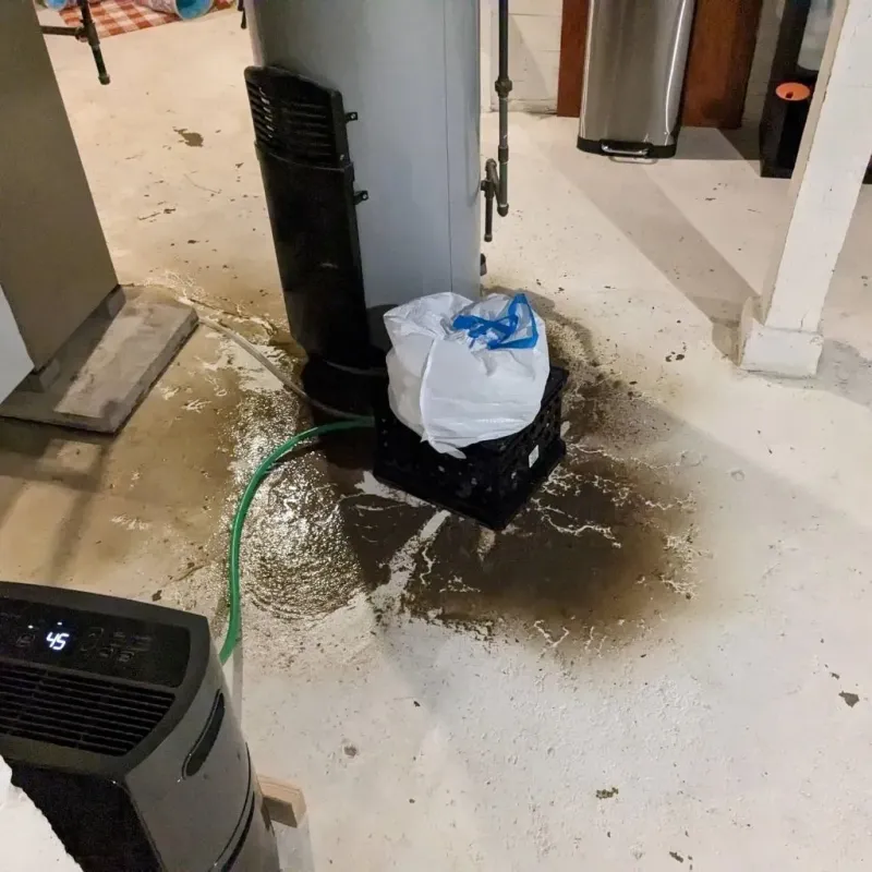 Sewage Backup Cleanup Service in Corning, IA
